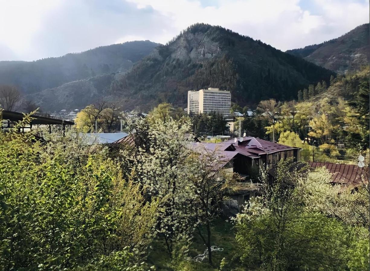 Guesthouse Greenside Borjomi Exterior foto